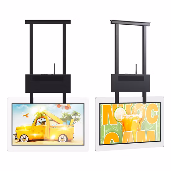 Écran d'affichage publicitaire LCD Transparent, ultra-fin, Double face, vertical, suspendu, 55 pouces